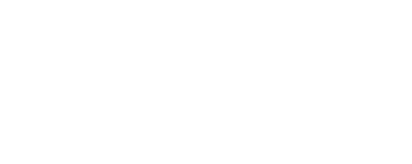 Van Weenen Dakbedekking Logo
